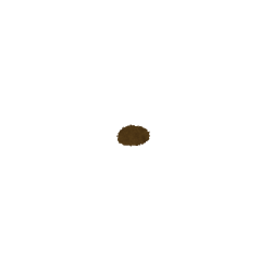 XChV[\